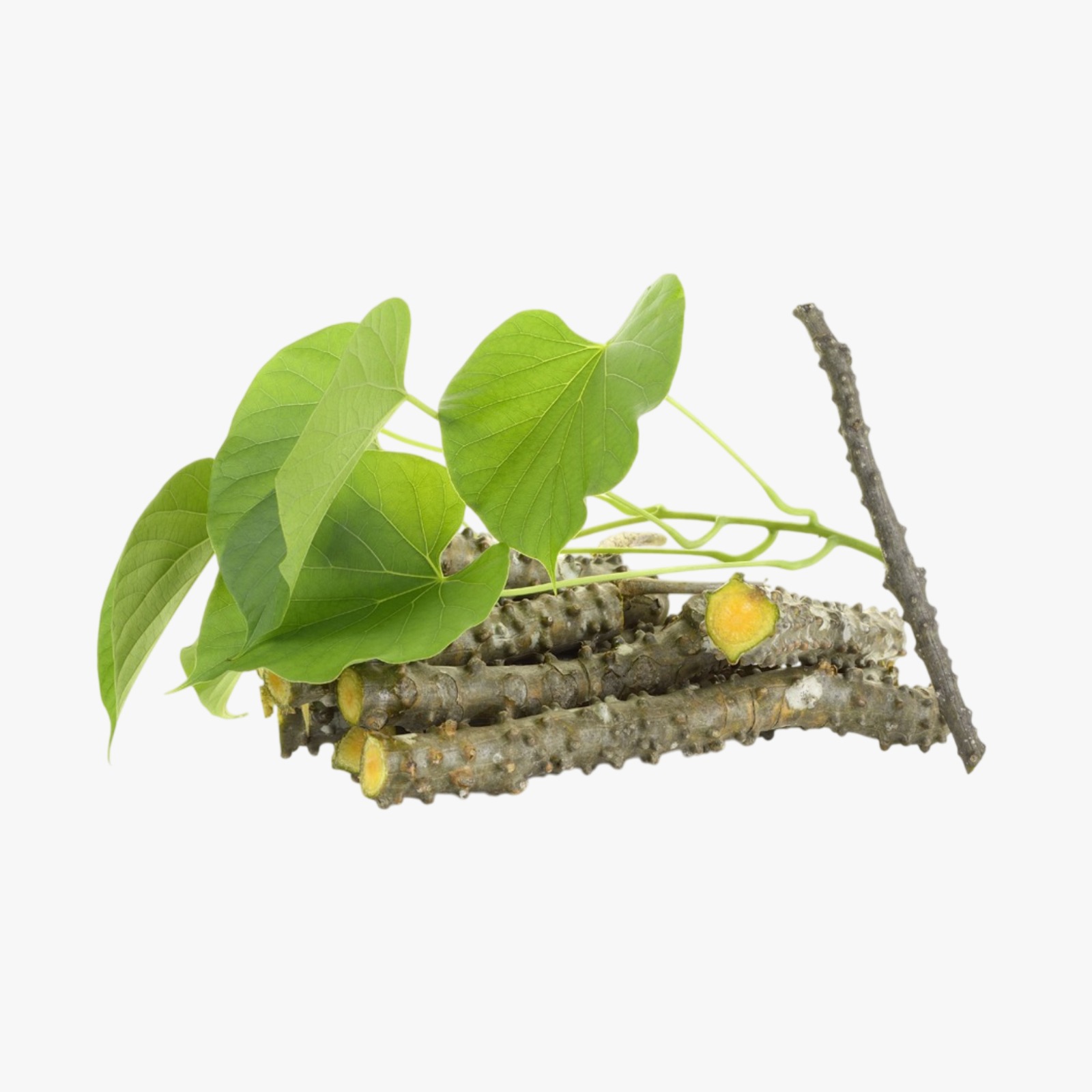 Benefits of Giloy
